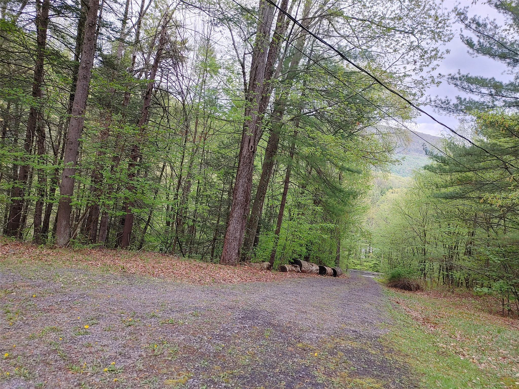 Single Family High  Ulster County, NY 12464, MLS-884747-35