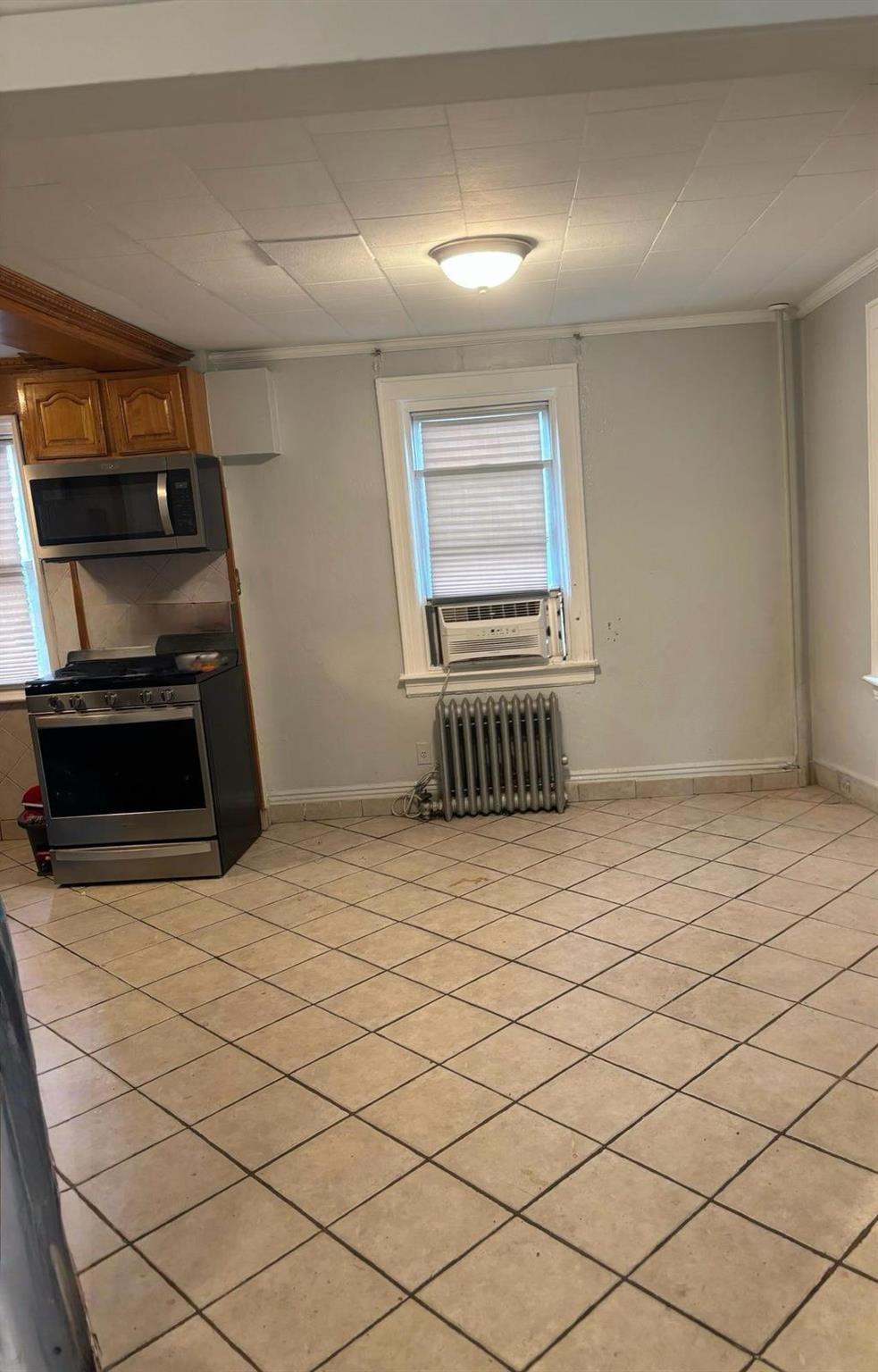 Single Family Bulwer  Brooklyn, NY 11207, MLS-884781-4