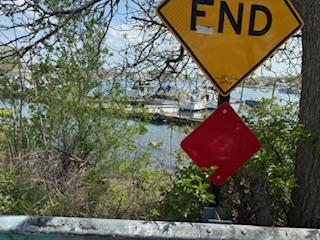 Land Fane  Brooklyn, NY , MLS-885042-3