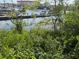 Land Fane  Brooklyn, NY , MLS-885042-4
