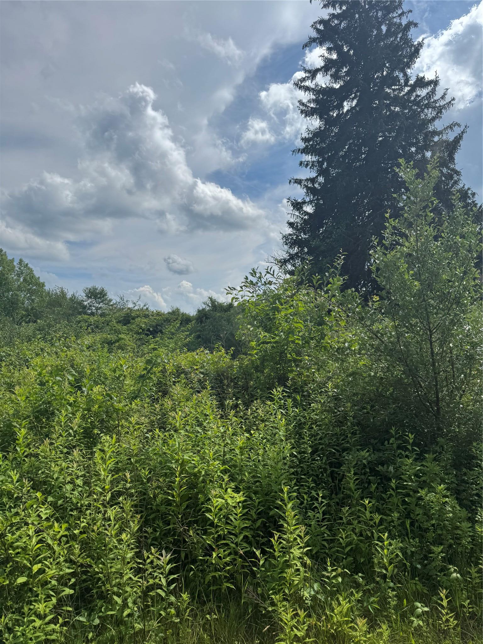 Single Family Living Springs Putnam County, NY 10579, MLS-885186-6