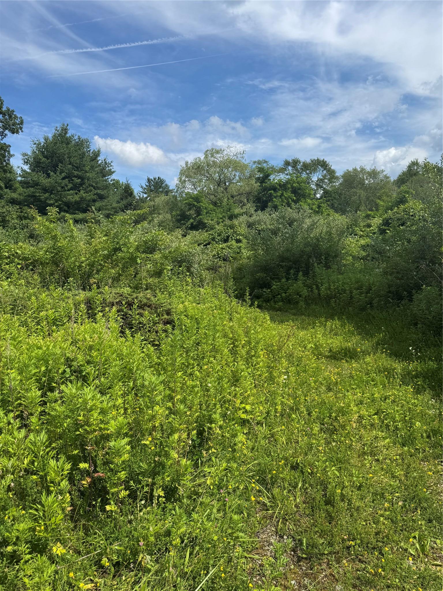 Single Family Living Springs Putnam County, NY 10579, MLS-885186-7