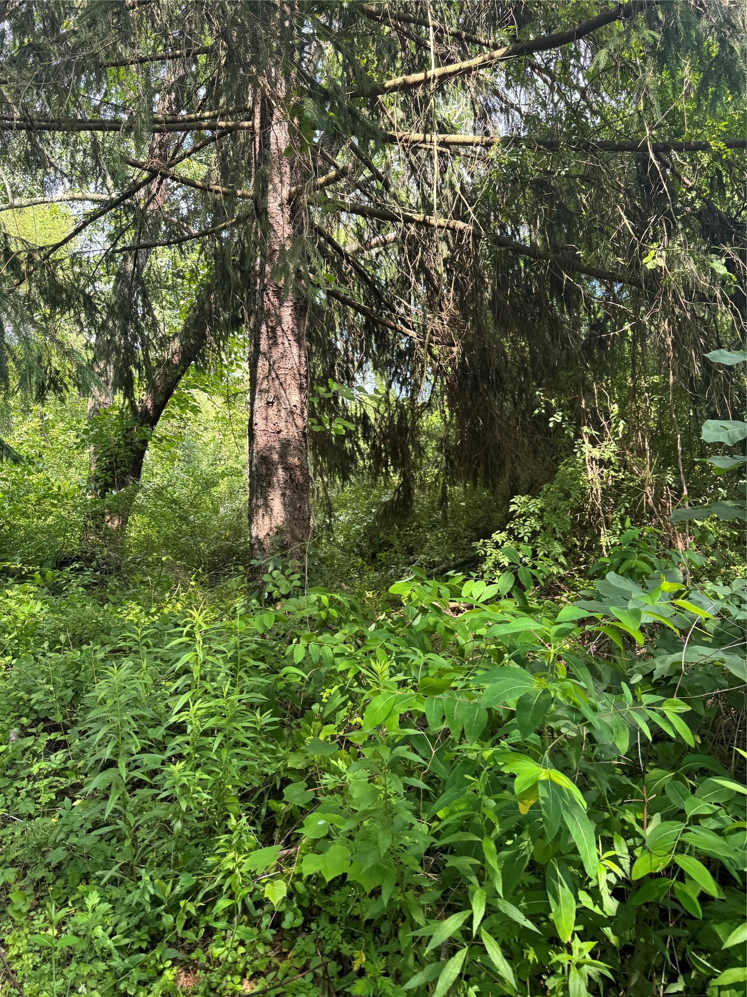 Single Family Living Springs Putnam County, NY 10579, MLS-885186-9