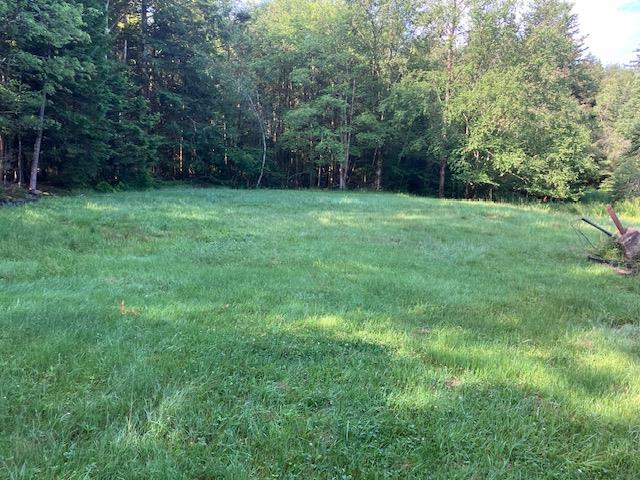 Single Family Cooley Mountain  Sullivan County, NY 12768, MLS-885295-13