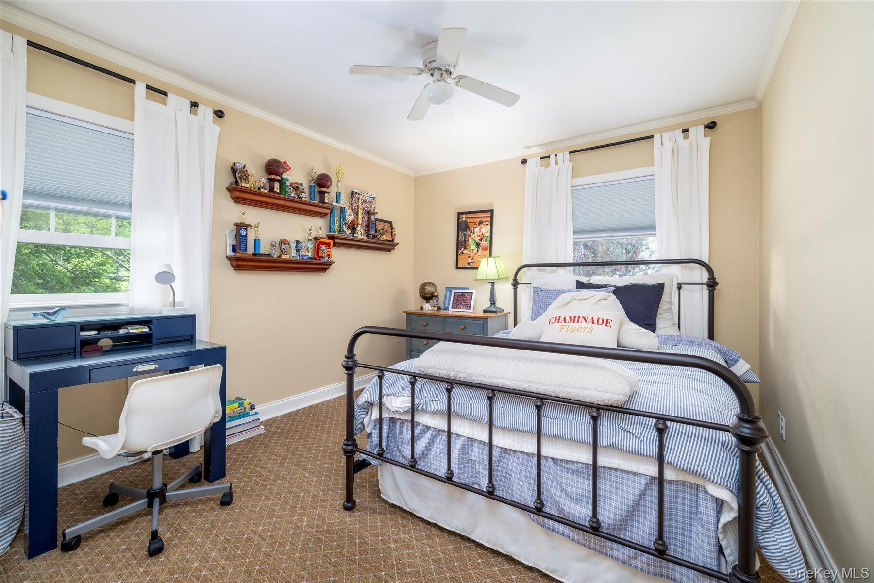 Single Family Blenheim Nassau County, NY 11570, MLS-885565-26