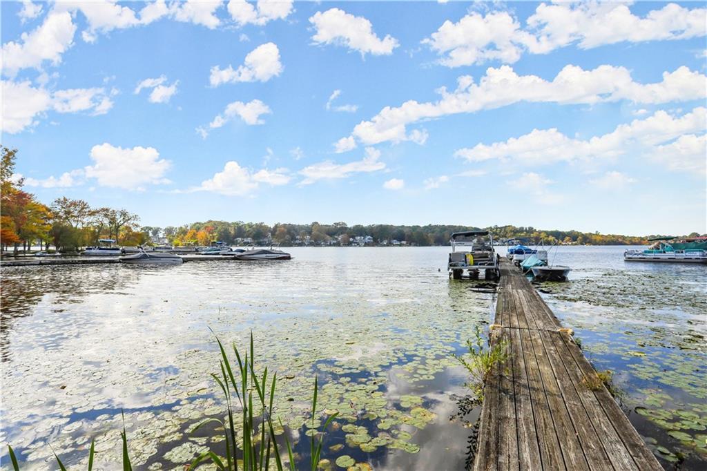 Single Family Orchard  Westchester County, NY 10560, MLS-885656-23