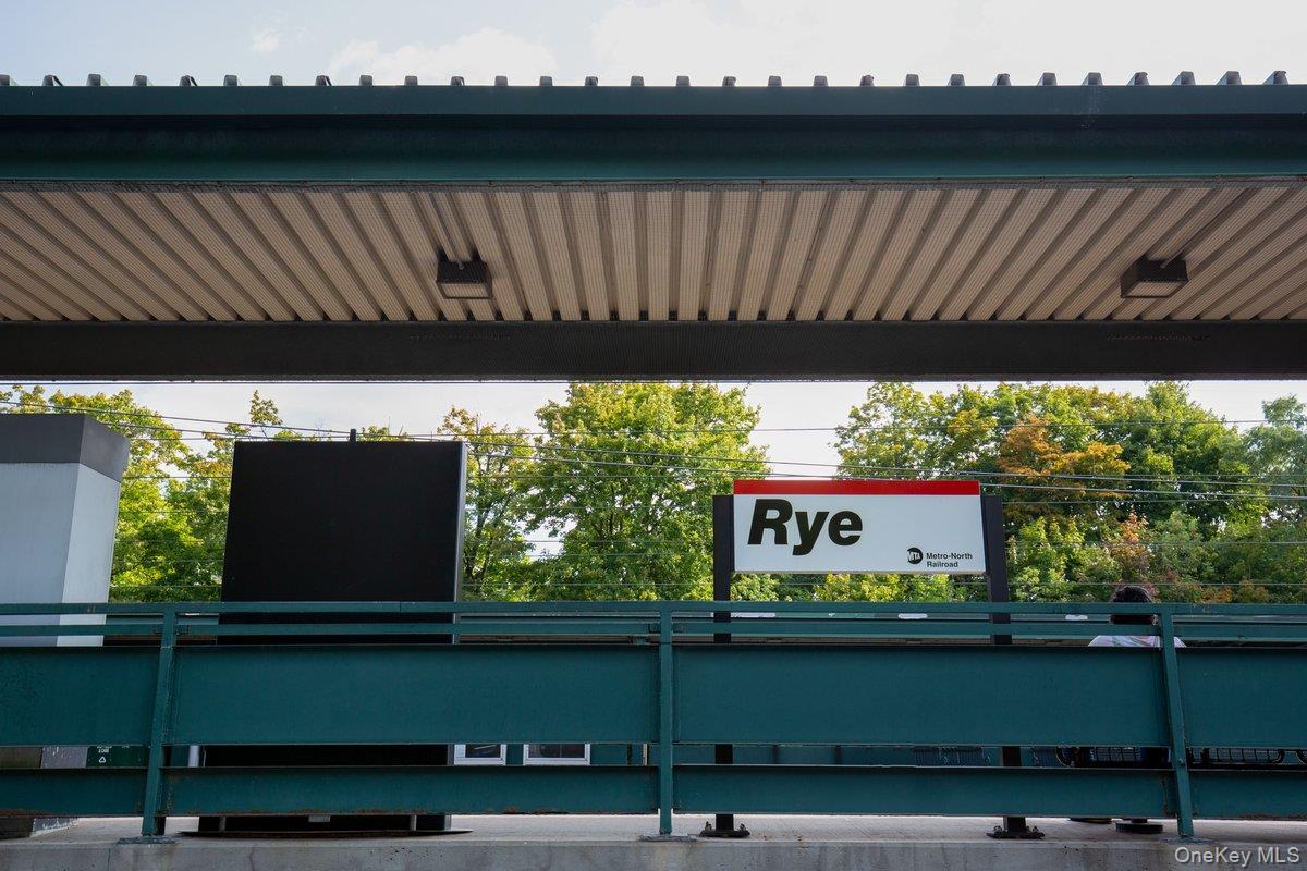 Single Family Roosevelt Westchester County, NY 10580, MLS-885778-28