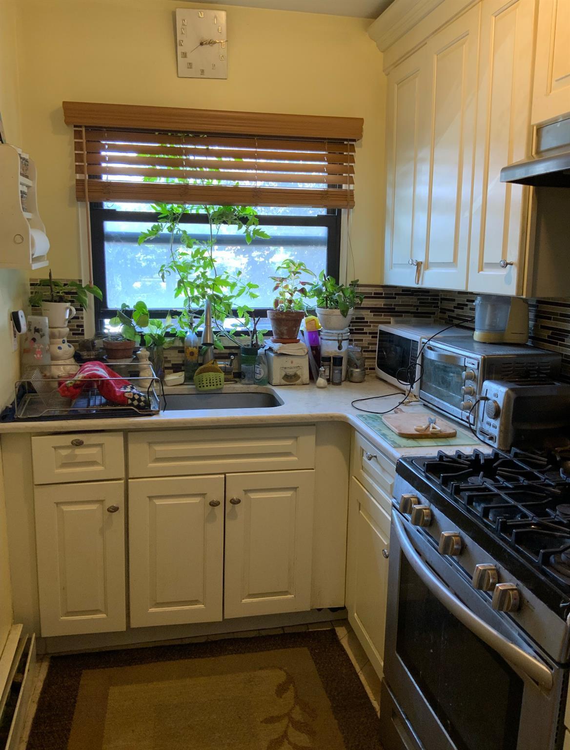 Coop Palmer  Westchester County, NY 10801, MLS-885823-6