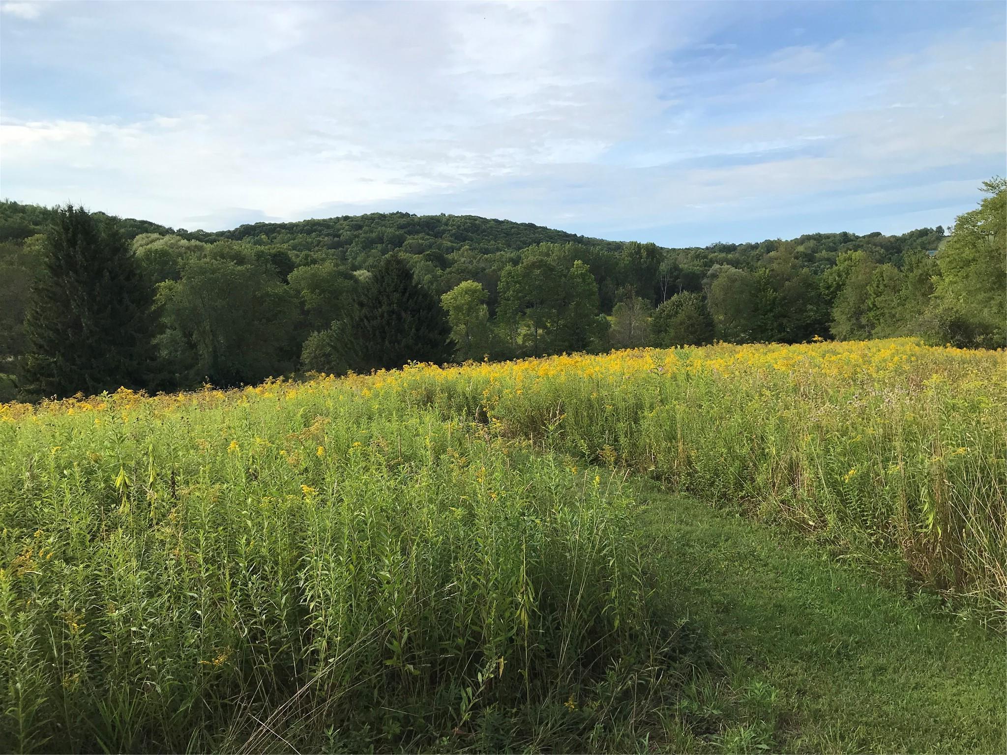 Single Family County Road 30  Out Of Area, NY 12865, MLS-885996-32