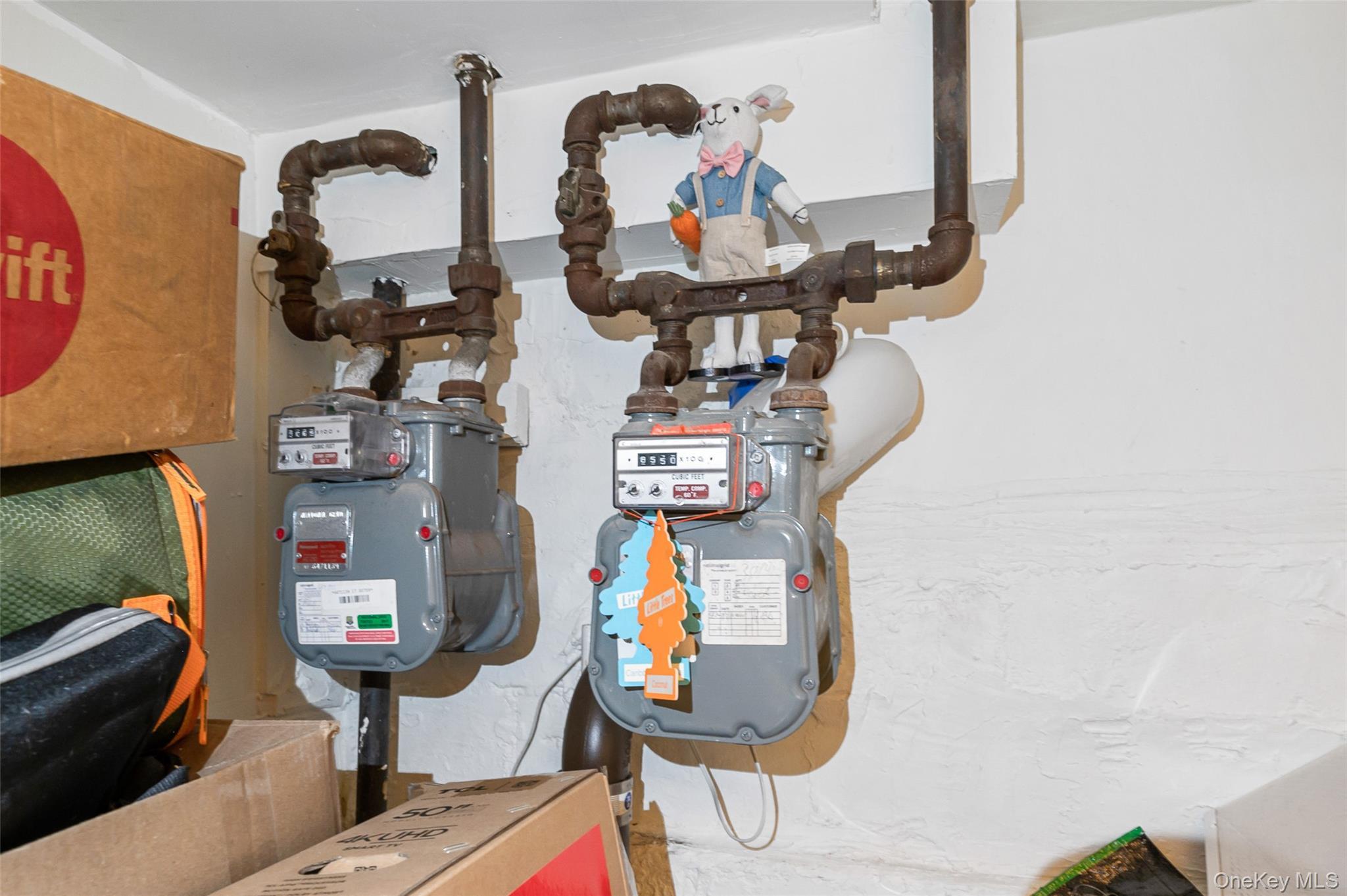 Single Family 93rd  Queens, NY 11421, MLS-886034-20