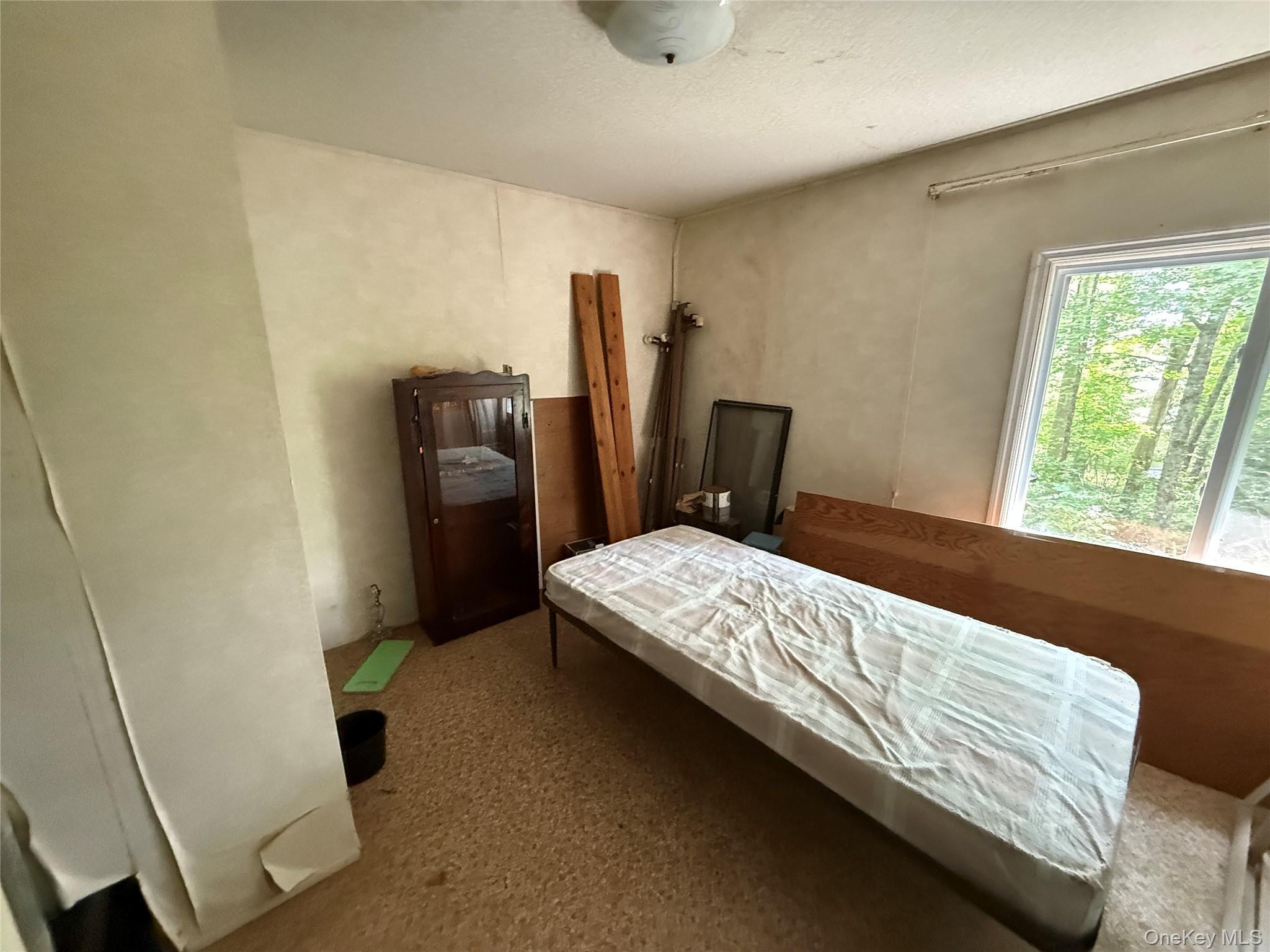 Single Family Lake  Sullivan County, NY 12768, MLS-886112-19