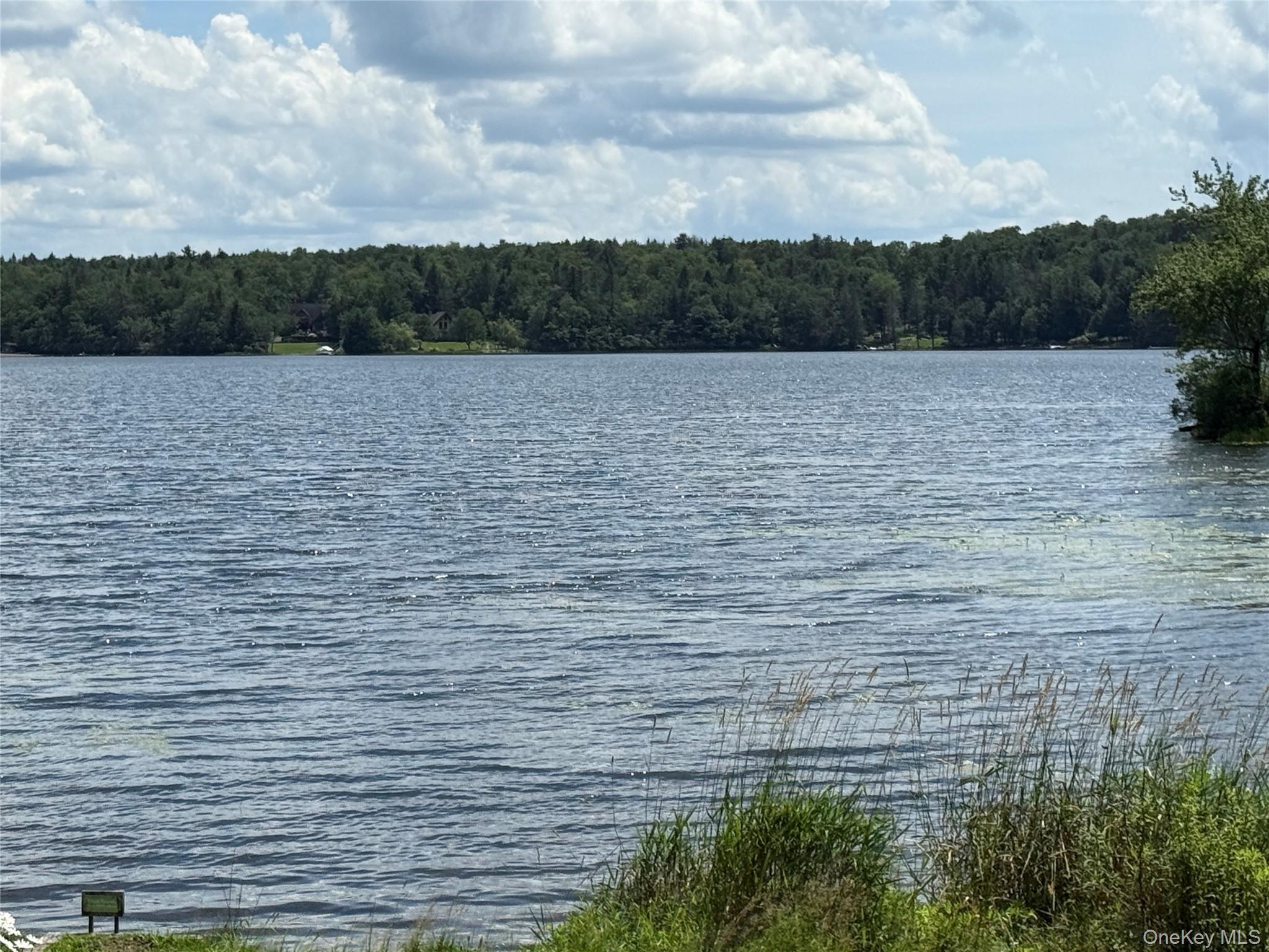 Single Family Lake  Sullivan County, NY 12768, MLS-886112-29