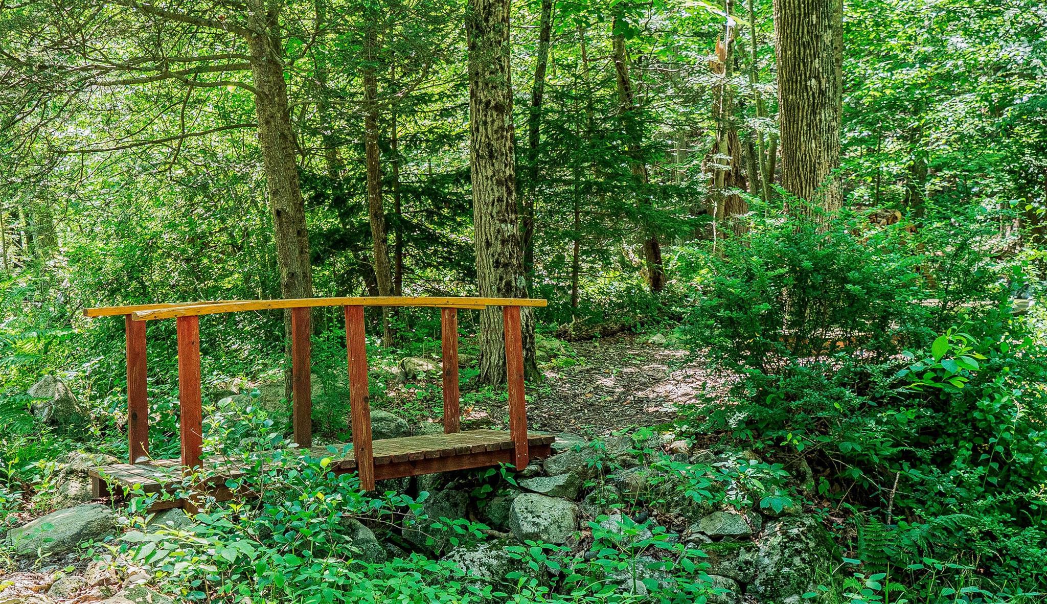 Single Family Buttermilk Falls  Orange County, NY 10990, MLS-886142-36