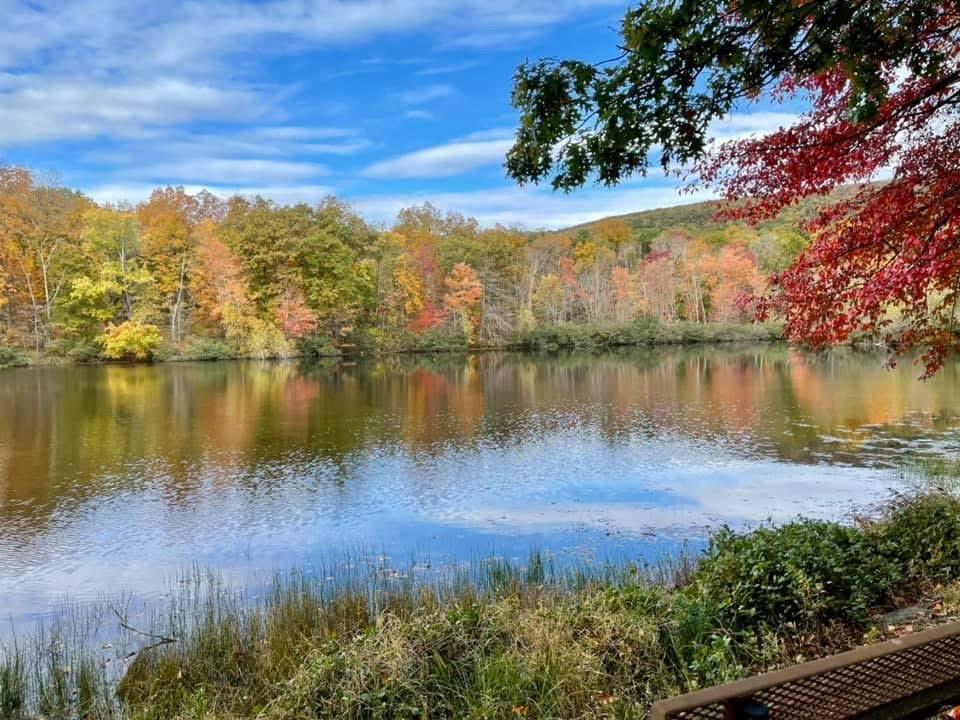 Single Family Butternut  Orange County, NY 10930, MLS-886228-41