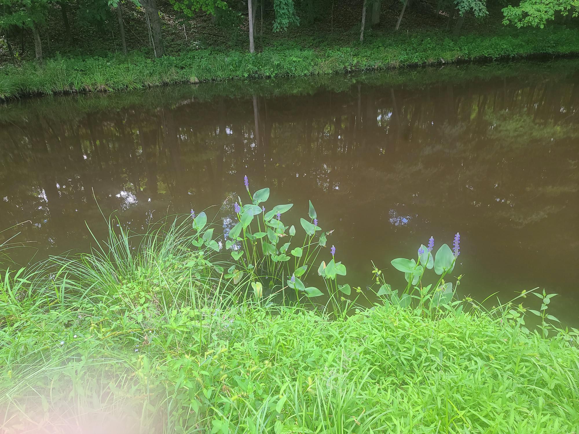 Single Family Old Farm  Dutchess County, NY 12572, MLS-886716-3