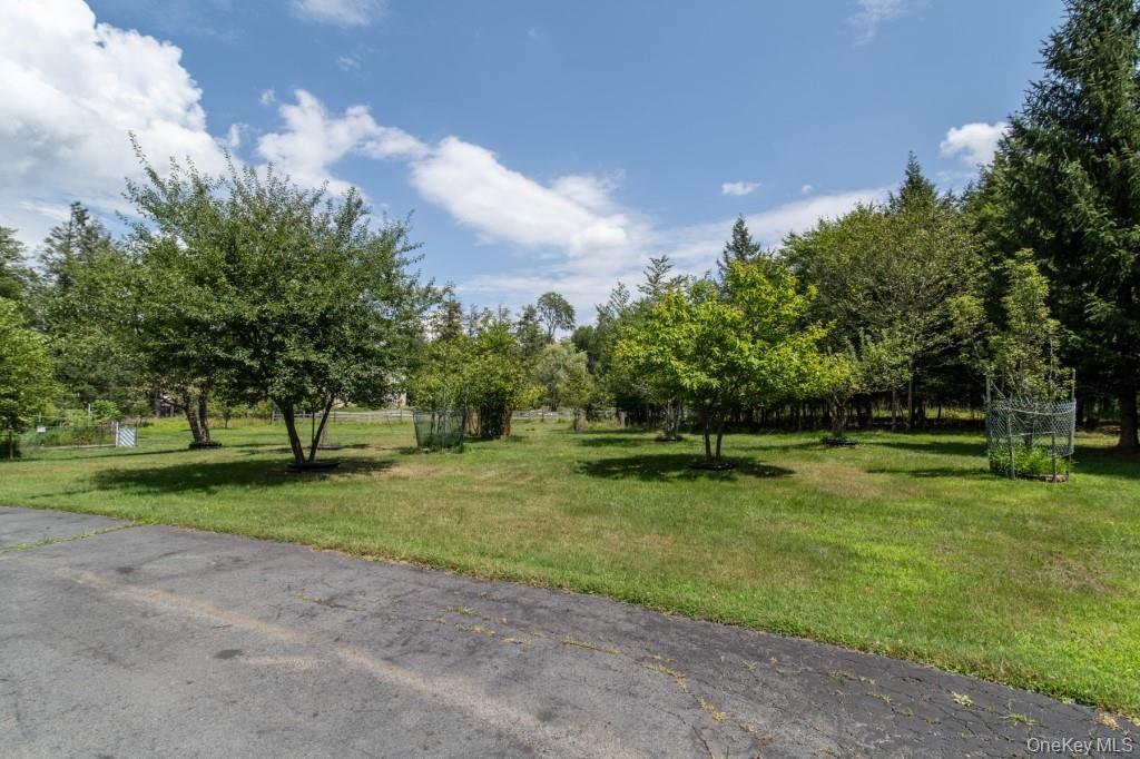 Single Family Haddock  Sullivan County, NY 12701, MLS-886753-29