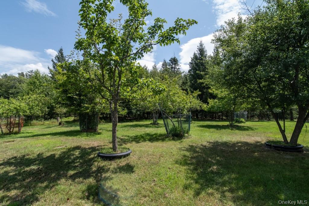 Single Family Haddock  Sullivan County, NY 12701, MLS-886753-30