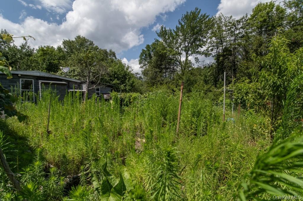 Single Family Haddock  Sullivan County, NY 12701, MLS-886753-34