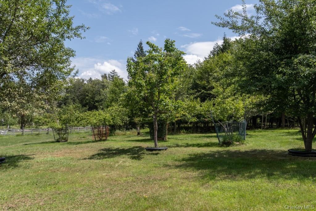 Single Family Haddock  Sullivan County, NY 12701, MLS-886753-35