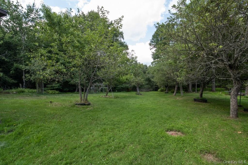 Single Family Haddock  Sullivan County, NY 12701, MLS-886753-36