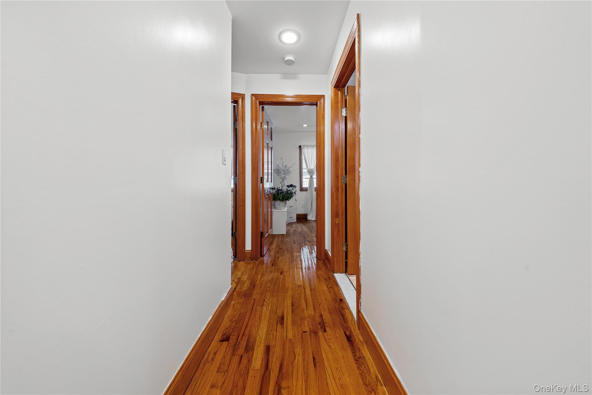 Single Family Nebraska  Nassau County, NY 11561, MLS-886757-7