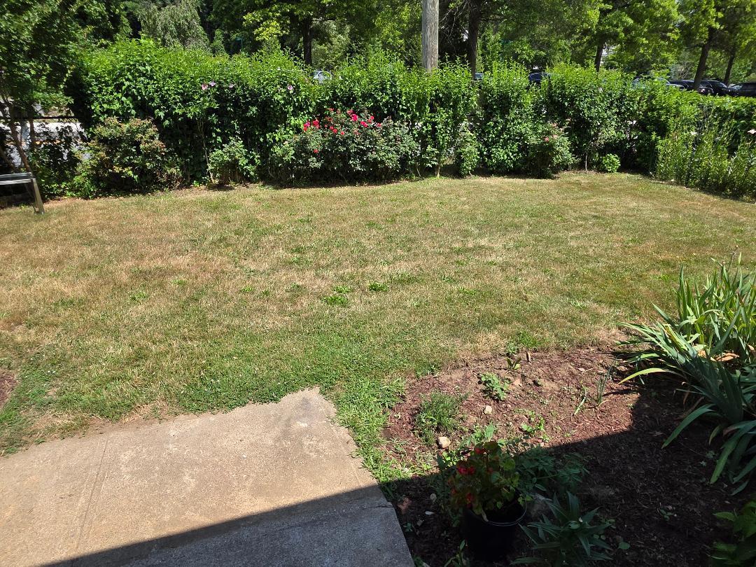 Single Family Hillside  Westchester County, NY 10603, MLS-886870-2