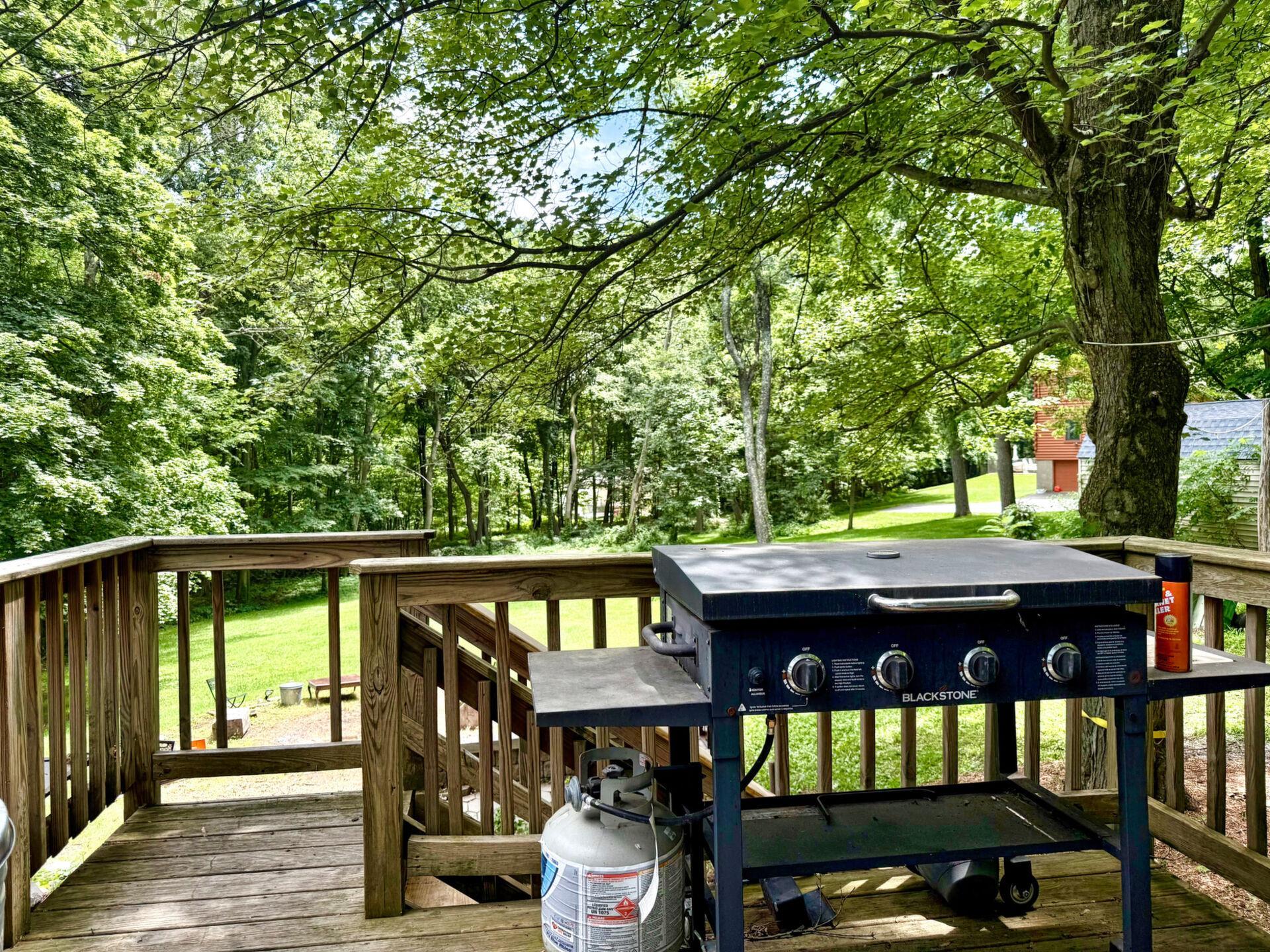 Single Family State Route 94  Orange County, NY 12553, MLS-887035-18