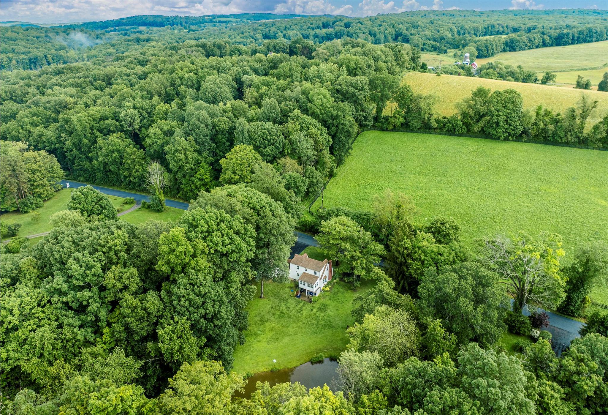 Single Family Duell  Dutchess County, NY 12581, MLS-887040-6
