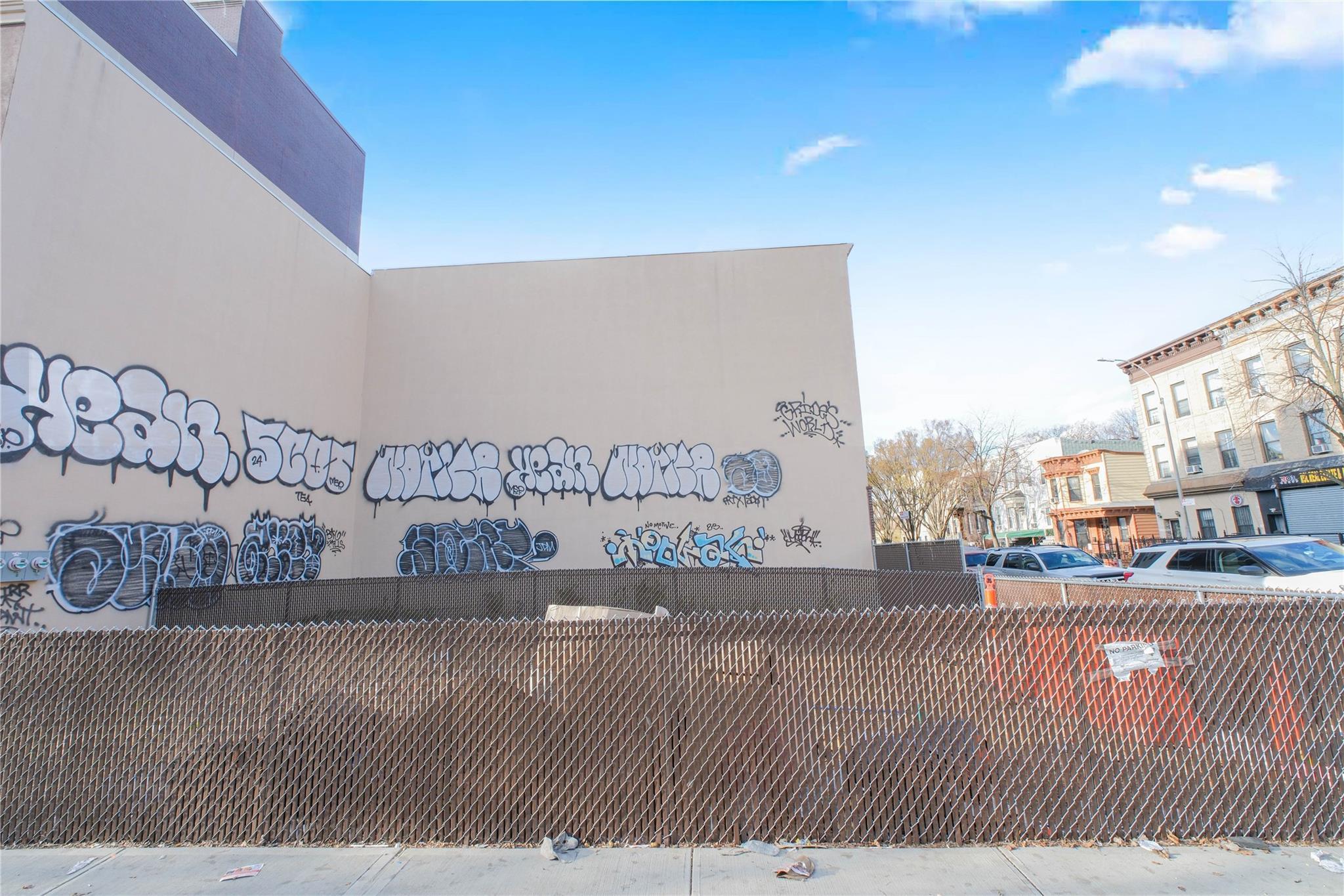 Land Buffalo  Brooklyn, NY 11233, MLS-887236-2