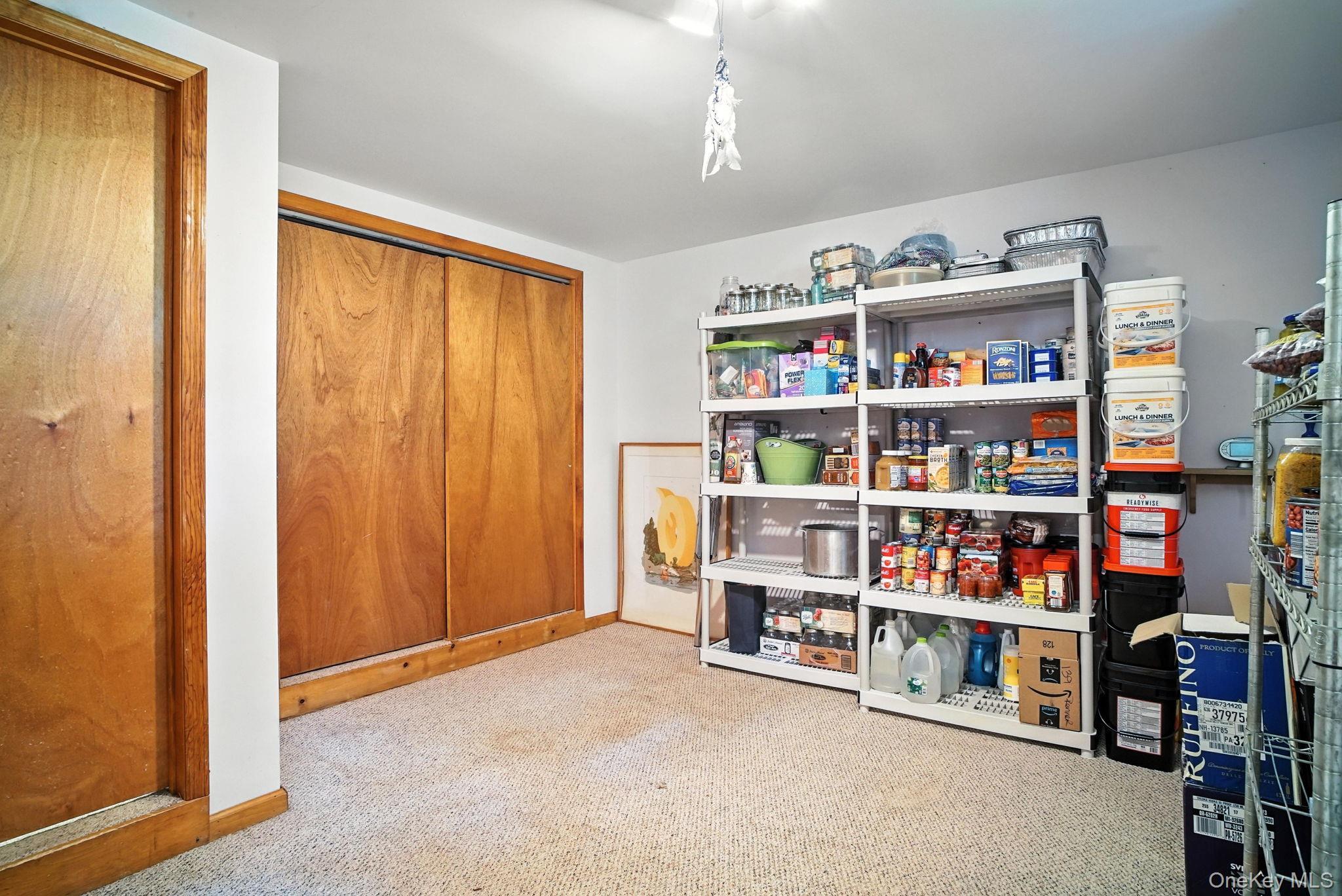 Single Family Renner  Sullivan County, NY 12775, MLS-887241-21