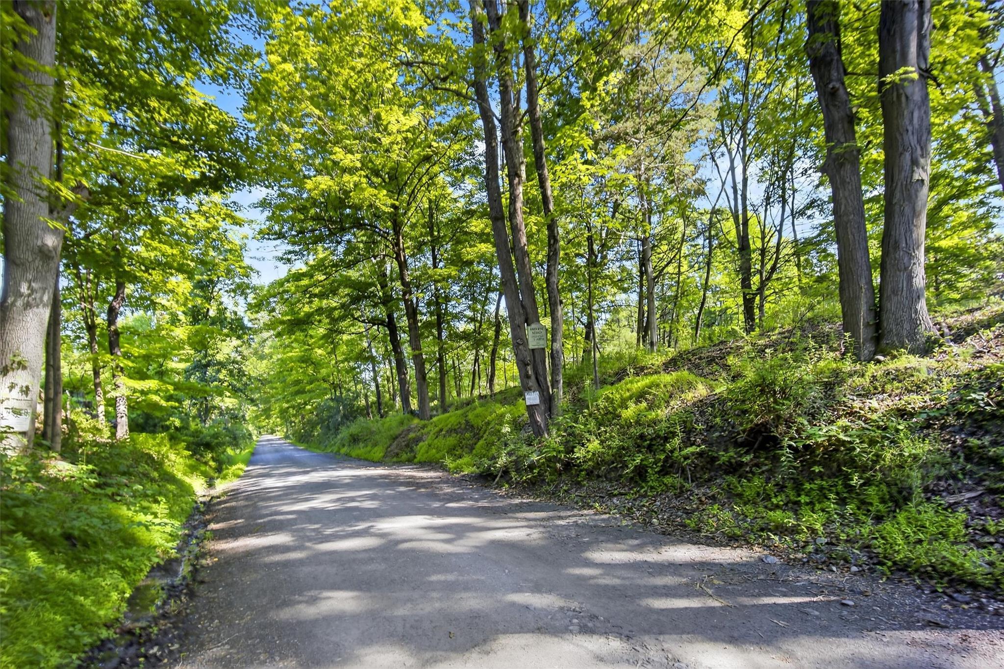 Single Family Shields  Columbia County, NY 12571, MLS-887266-45