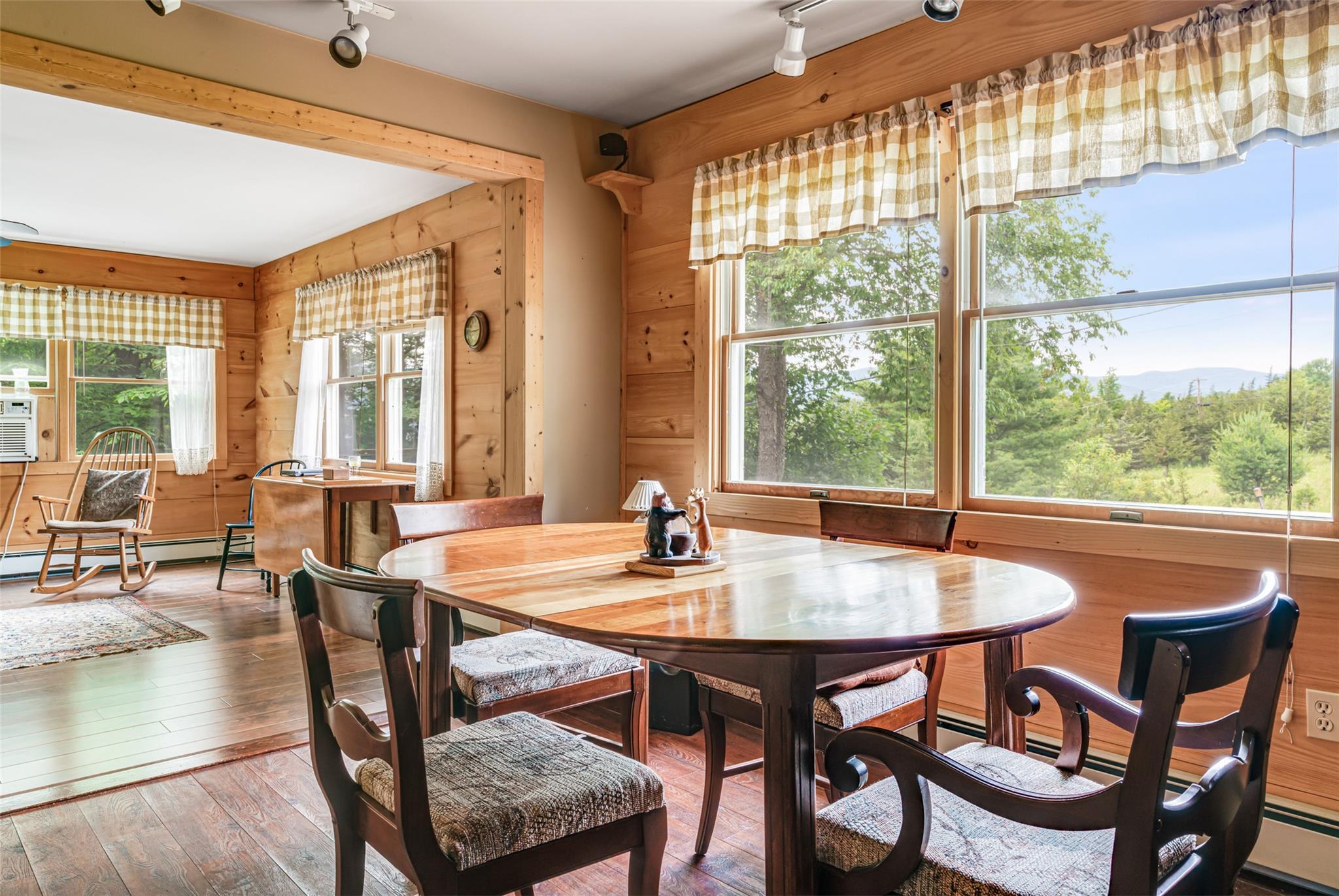 Single Family Route 13  Greene County, NY 12468, MLS-887335-13