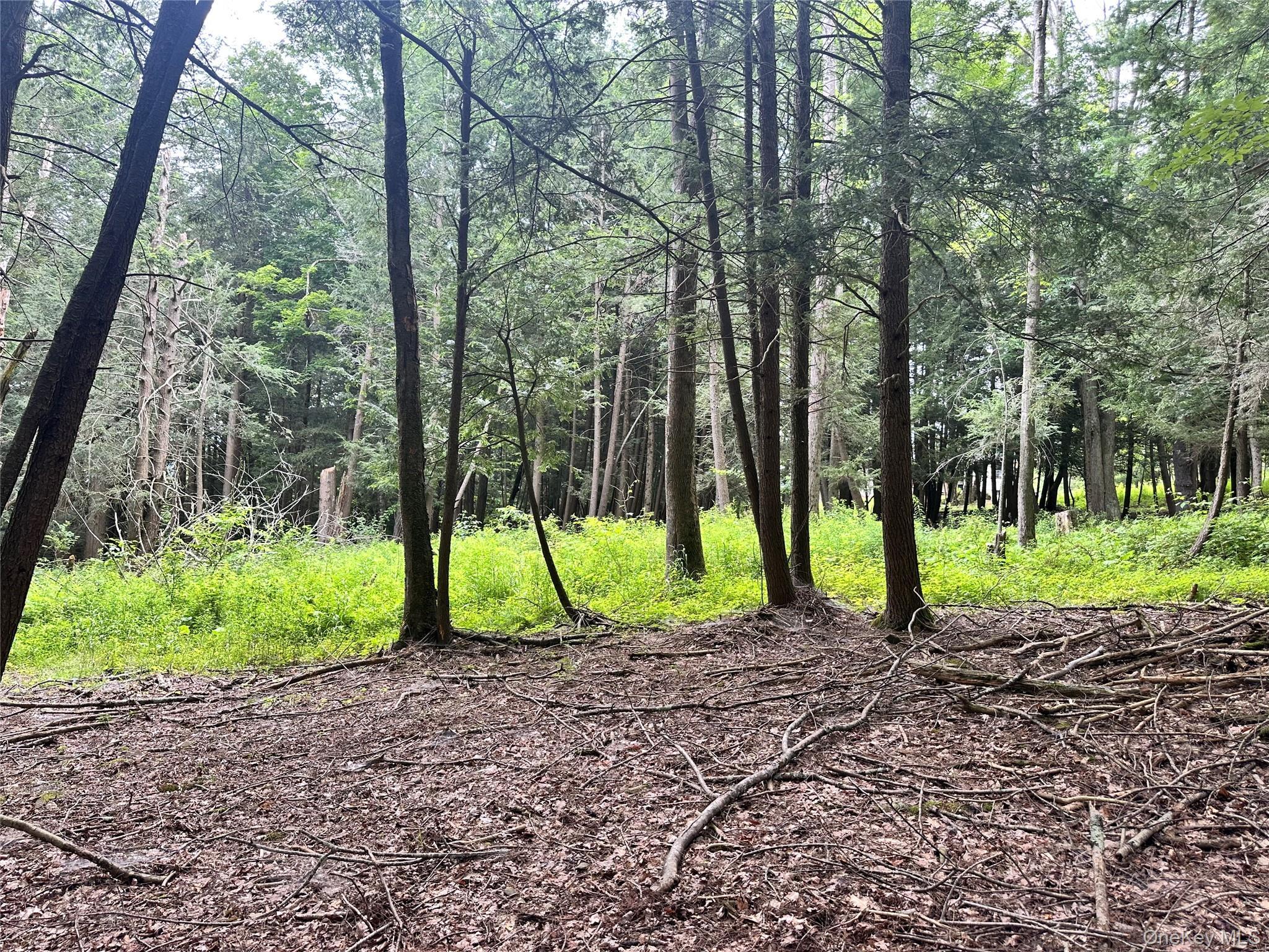 Single Family Route 13  Greene County, NY 12468, MLS-887335-36