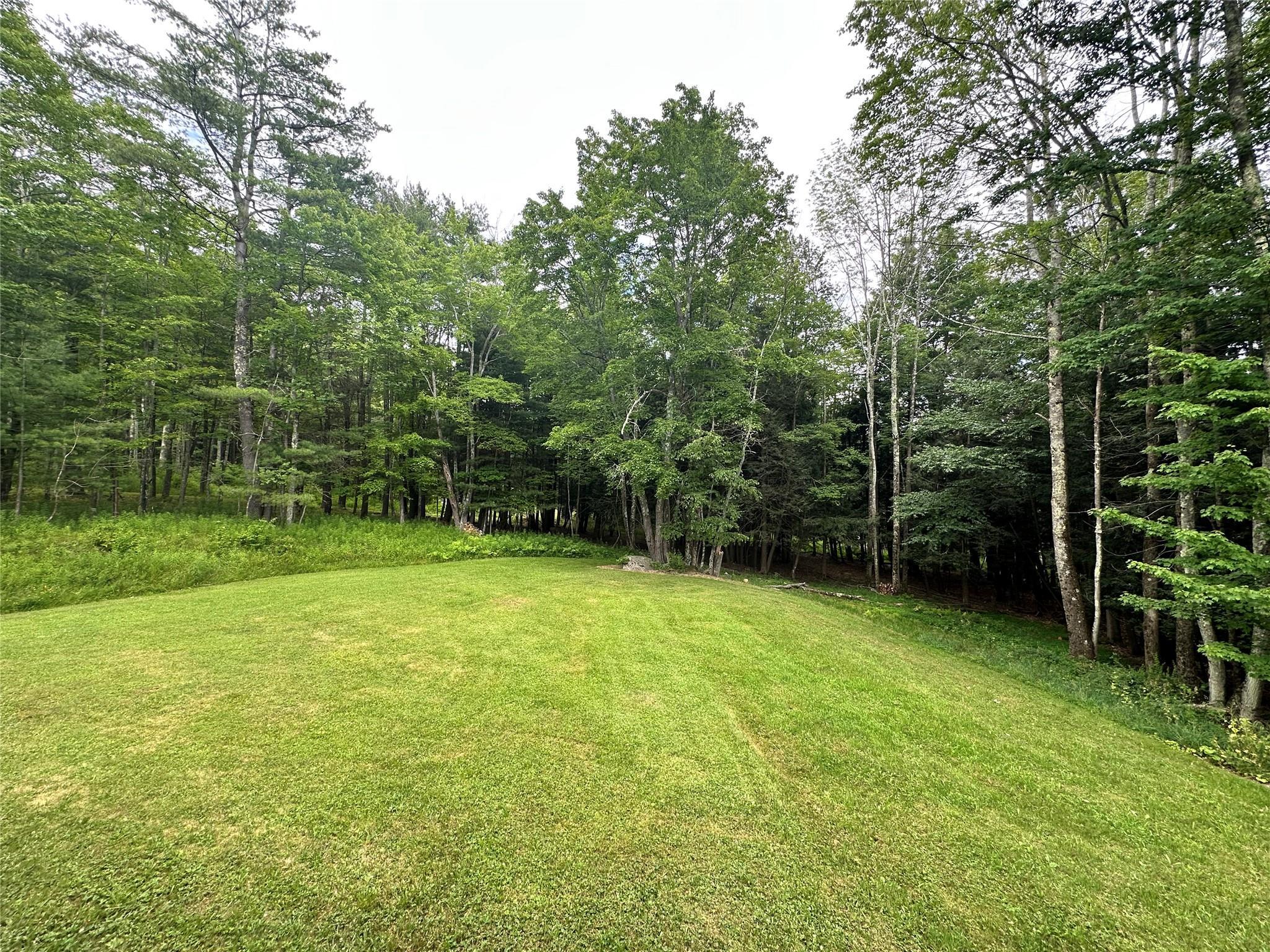 Single Family Route 13  Greene County, NY 12468, MLS-887335-6