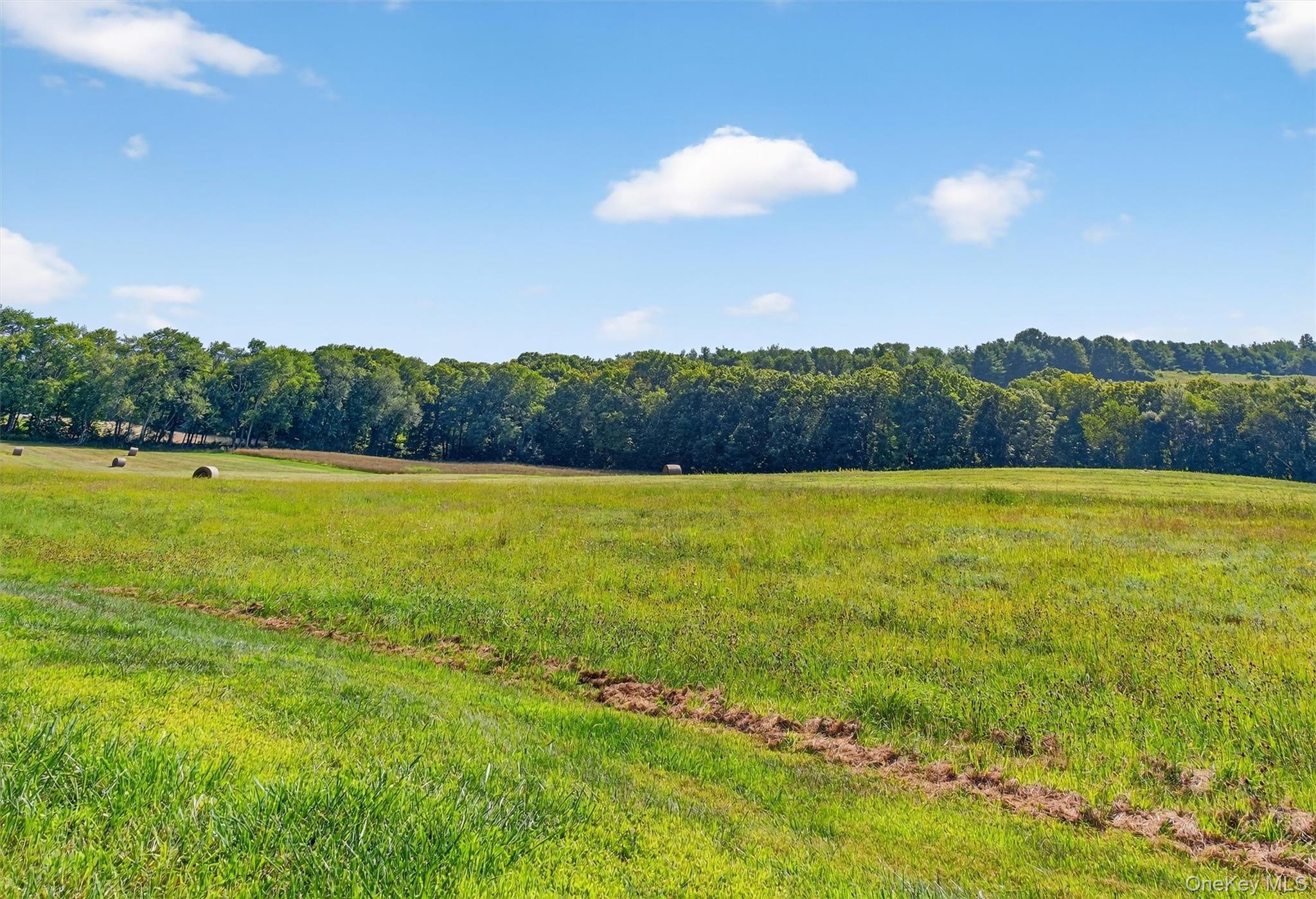 Single Family Route 82 Dutchess County, NY 12540, MLS-887355-45