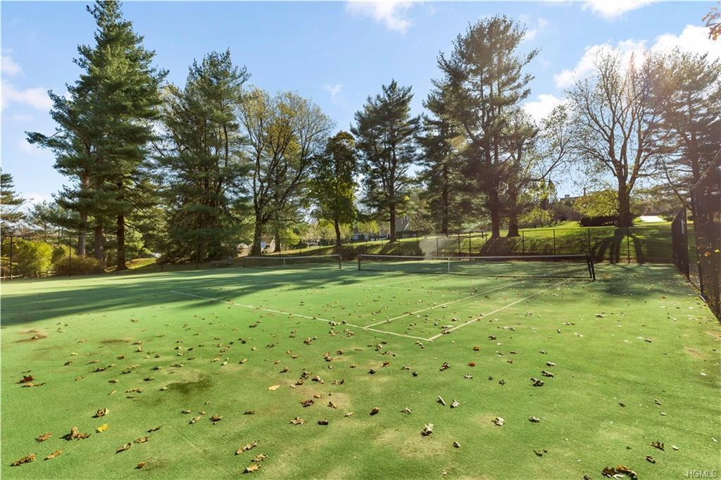 Condo Grove  Westchester County, NY 10514, MLS-887420-23