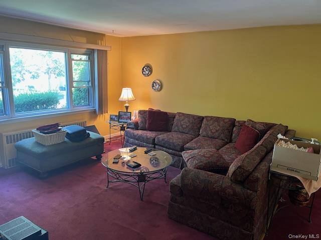 Single Family Cambria Ave Queens, NY 11362, MLS-887544-7