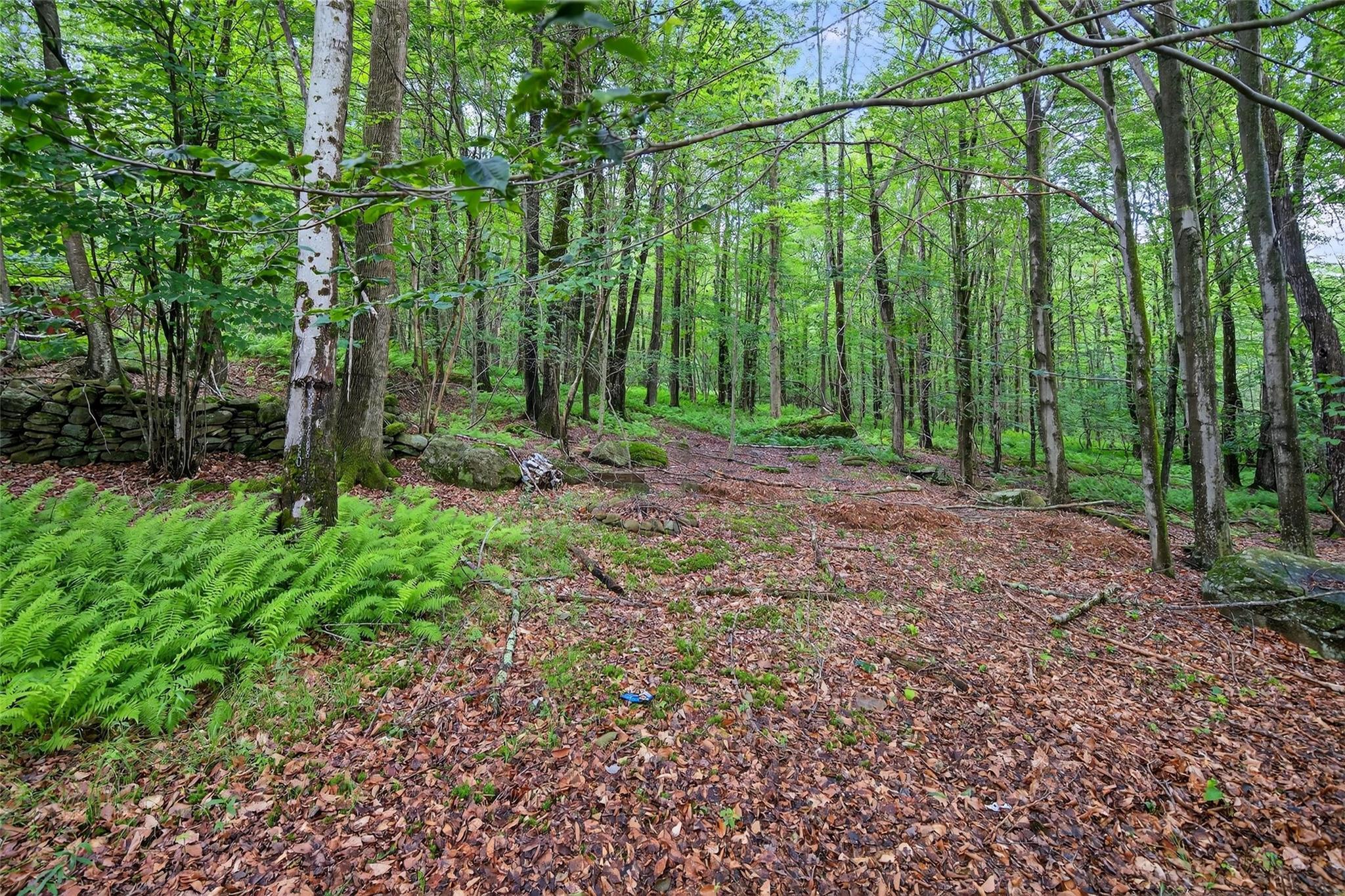 Single Family Timber Hill  Sullivan County, NY 12779, MLS-887547-28