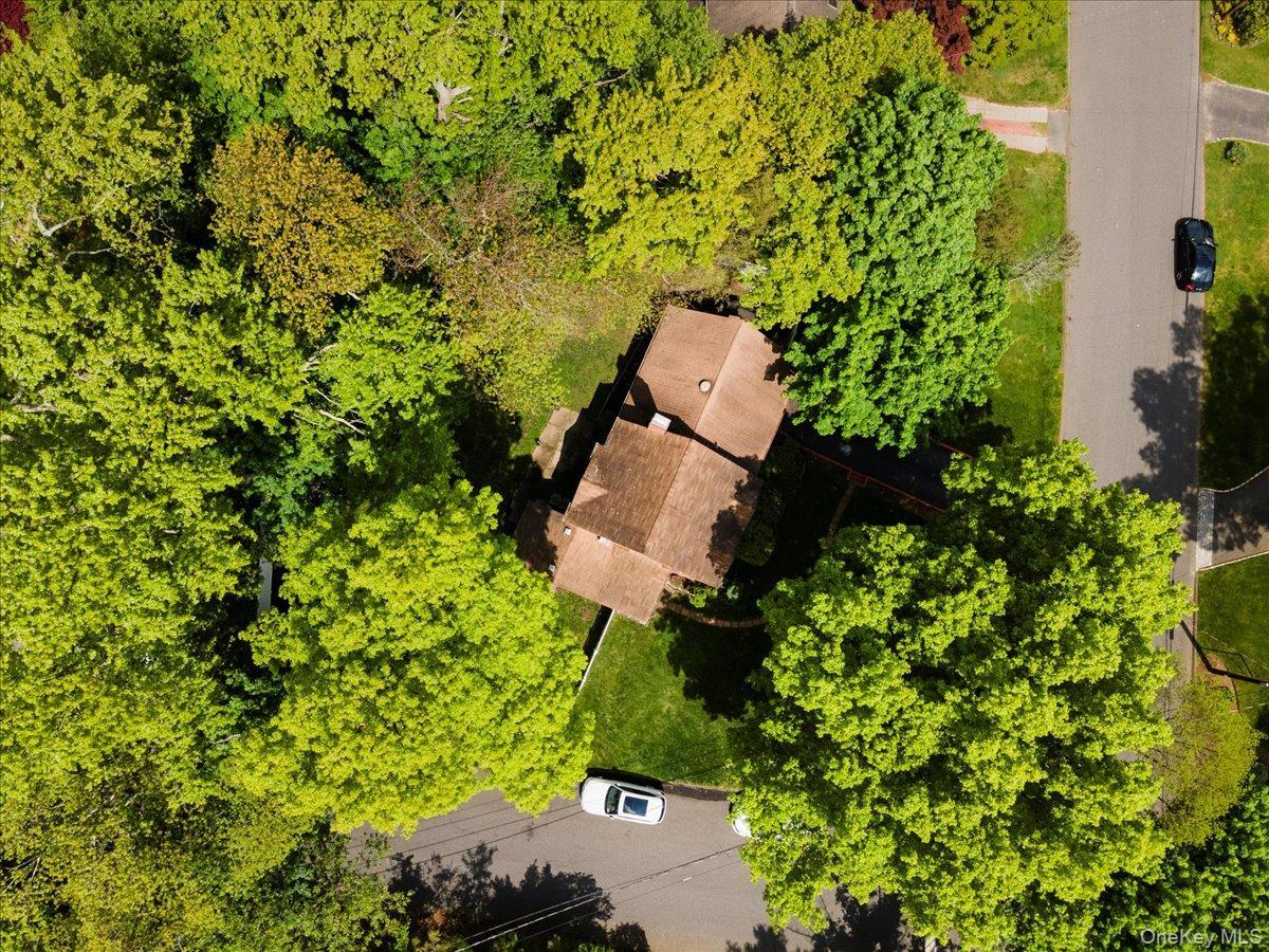 Single Family Nursery  Suffolk County, NY 11747, MLS-887619-10