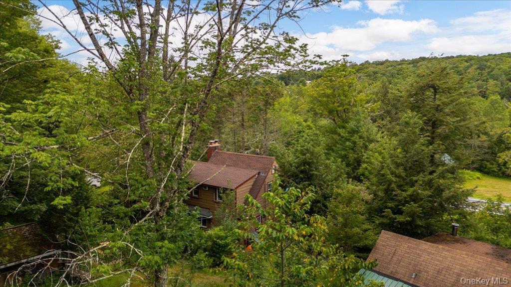 Single Family Couzines Sullivan County, NY 12788, MLS-887674-42