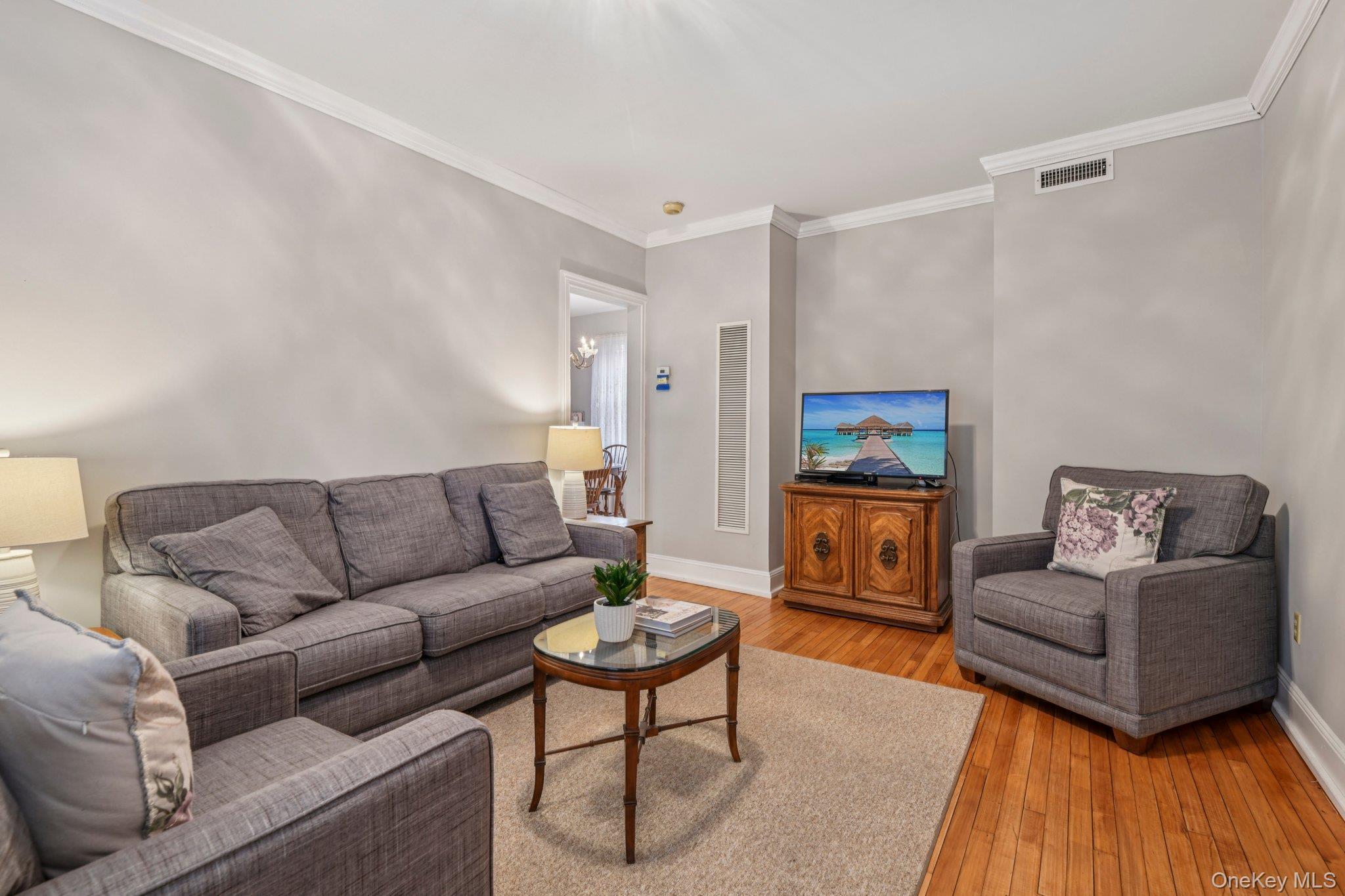 Single Family Village  Nassau County, NY 11570, MLS-887719-26