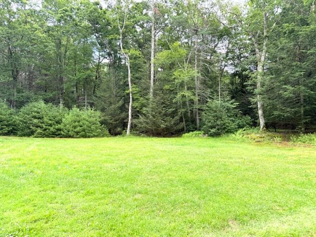 Single Family Collins  Sullivan County, NY 12732, MLS-887821-3