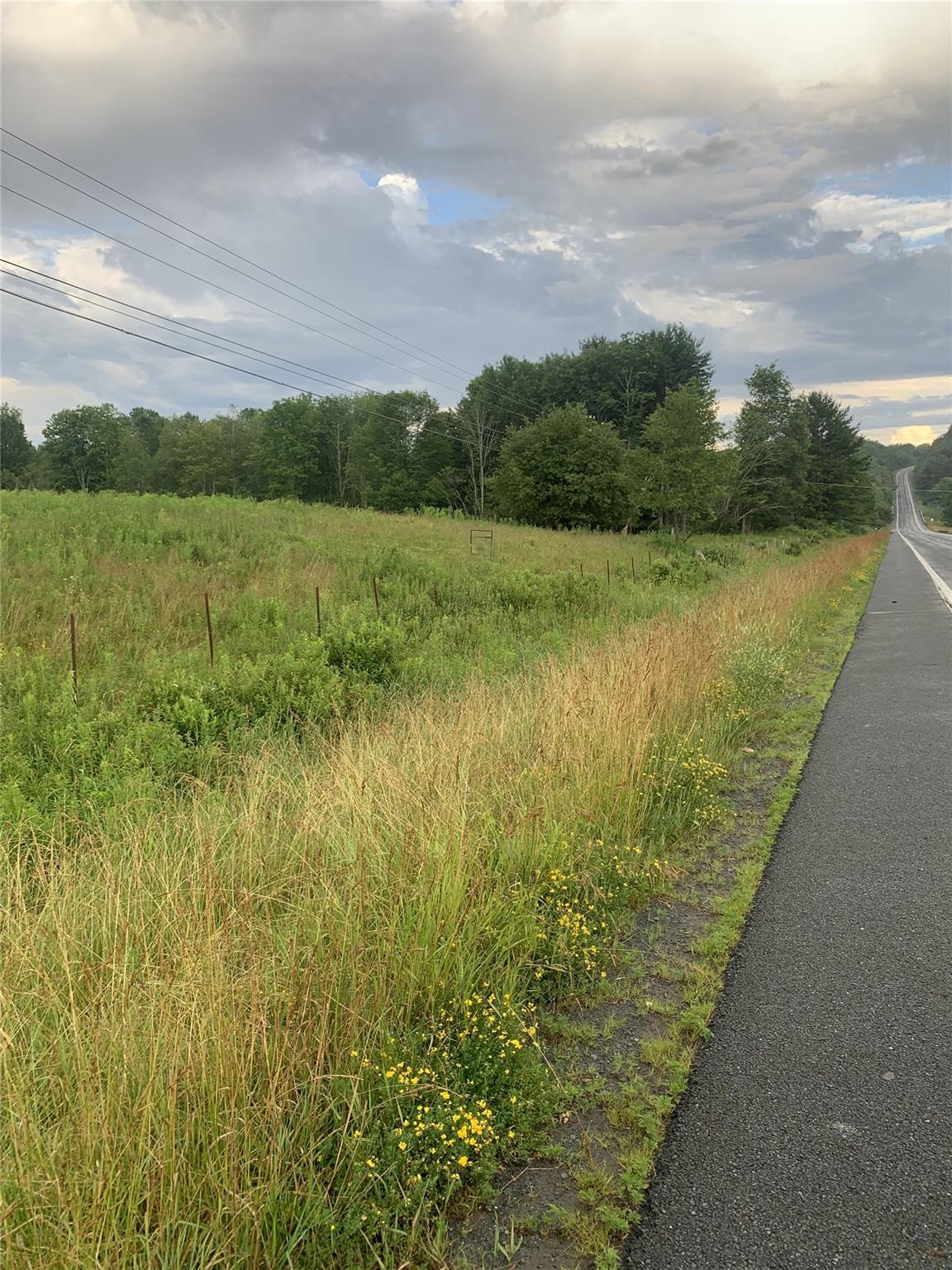 Single Family Burr  Sullivan County, NY 12726, MLS-887874-16