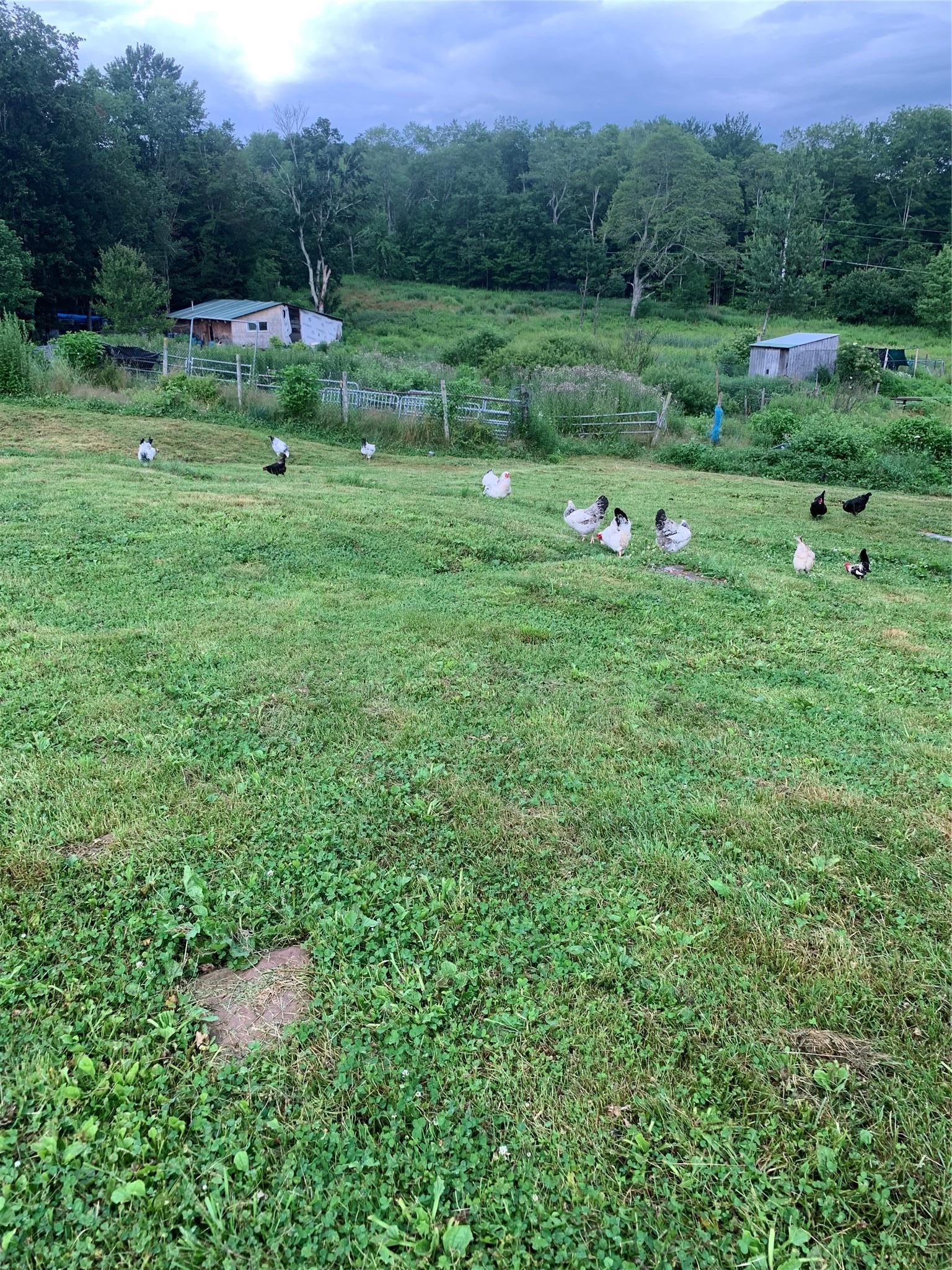 Single Family Burr  Sullivan County, NY 12726, MLS-887874-5