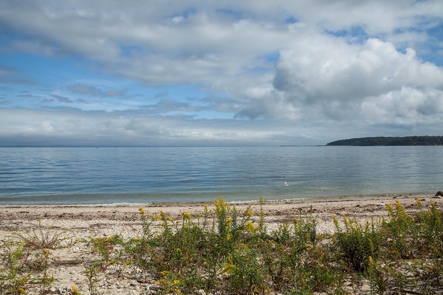 Single Family Centre Island Nassau County, NY 11771, MLS-887894-28