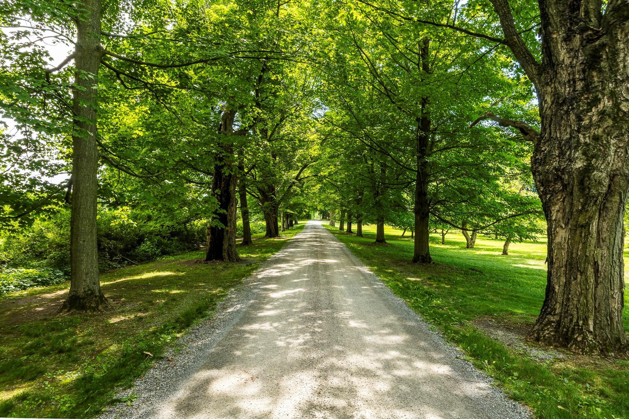 Single Family Eichybush Road Columbia County, NY 12106, MLS-887895-3