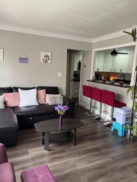 Single Family Braddock  Queens, NY 11427, MLS-888105-4
