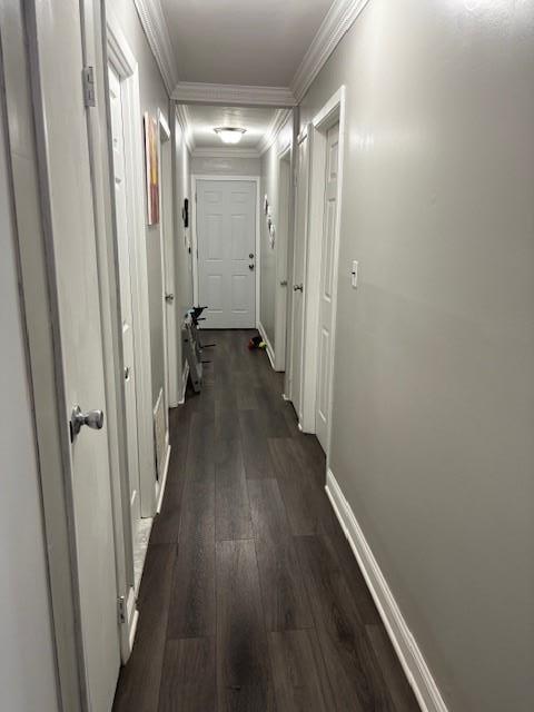 Single Family Braddock  Queens, NY 11427, MLS-888105-9