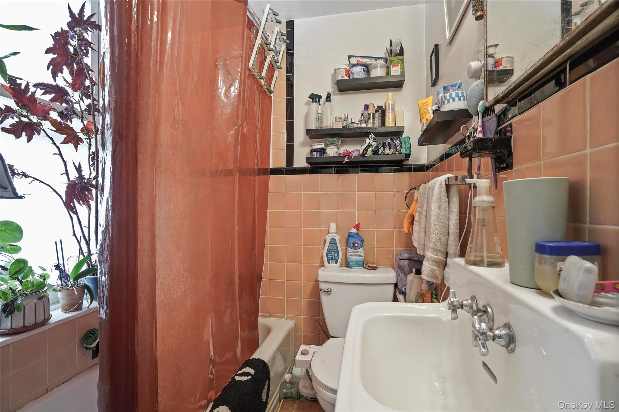 Single Family Putnam Queens, NY 11385, MLS-888227-28