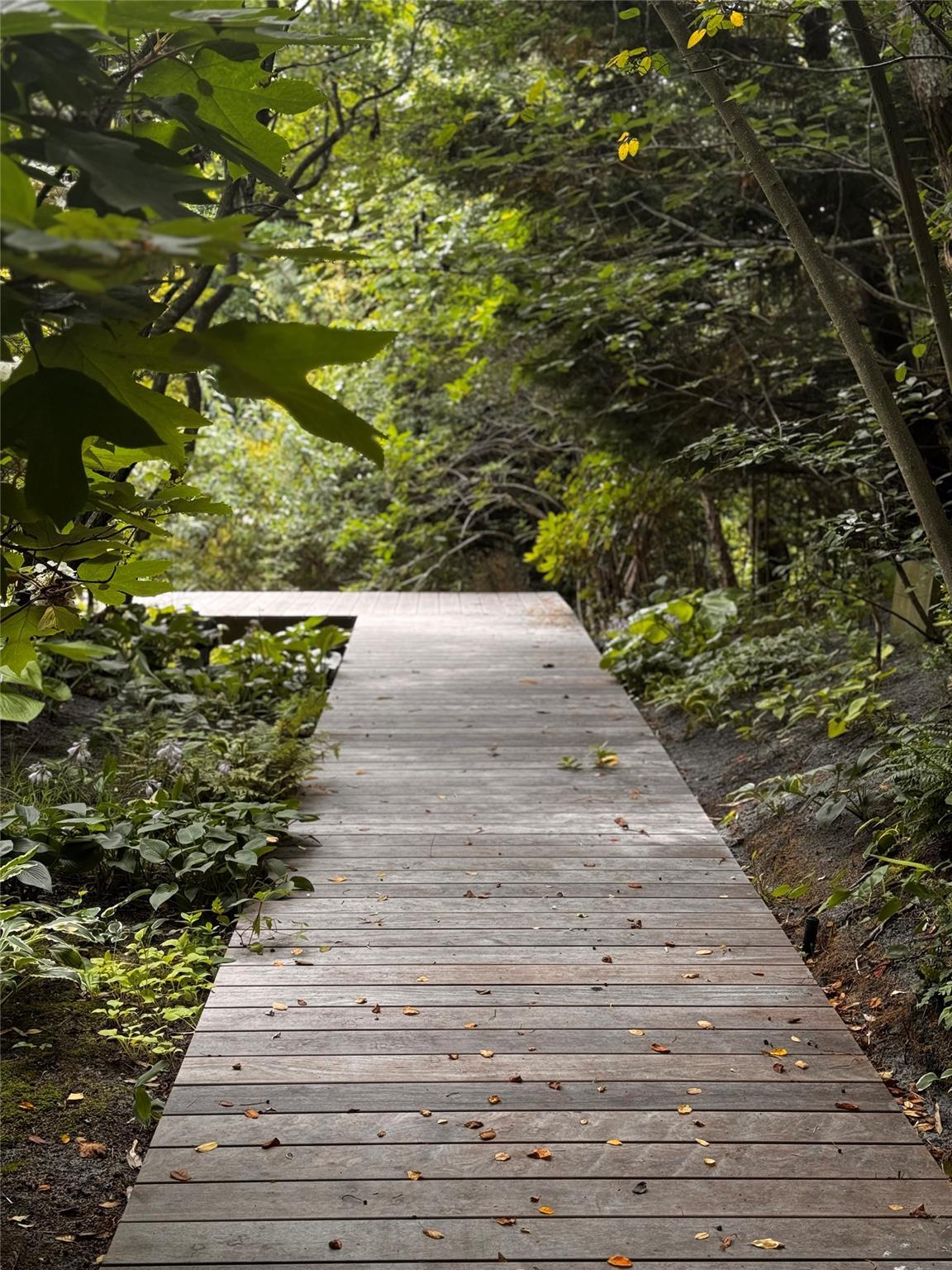 Single Family Tarpon Suffolk County, NY 11782, MLS-888379-3